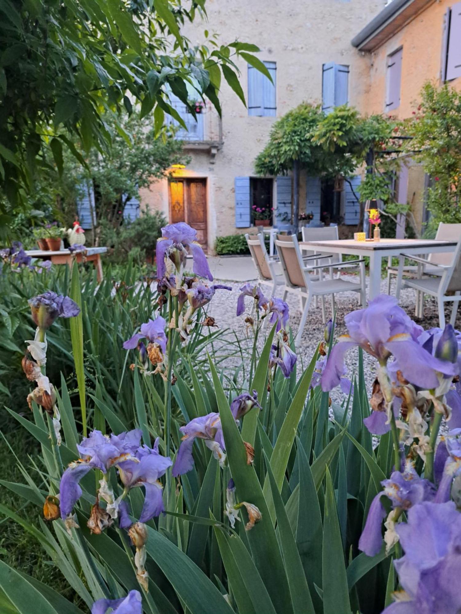 Casadesergio Refrontolo Exterior photo