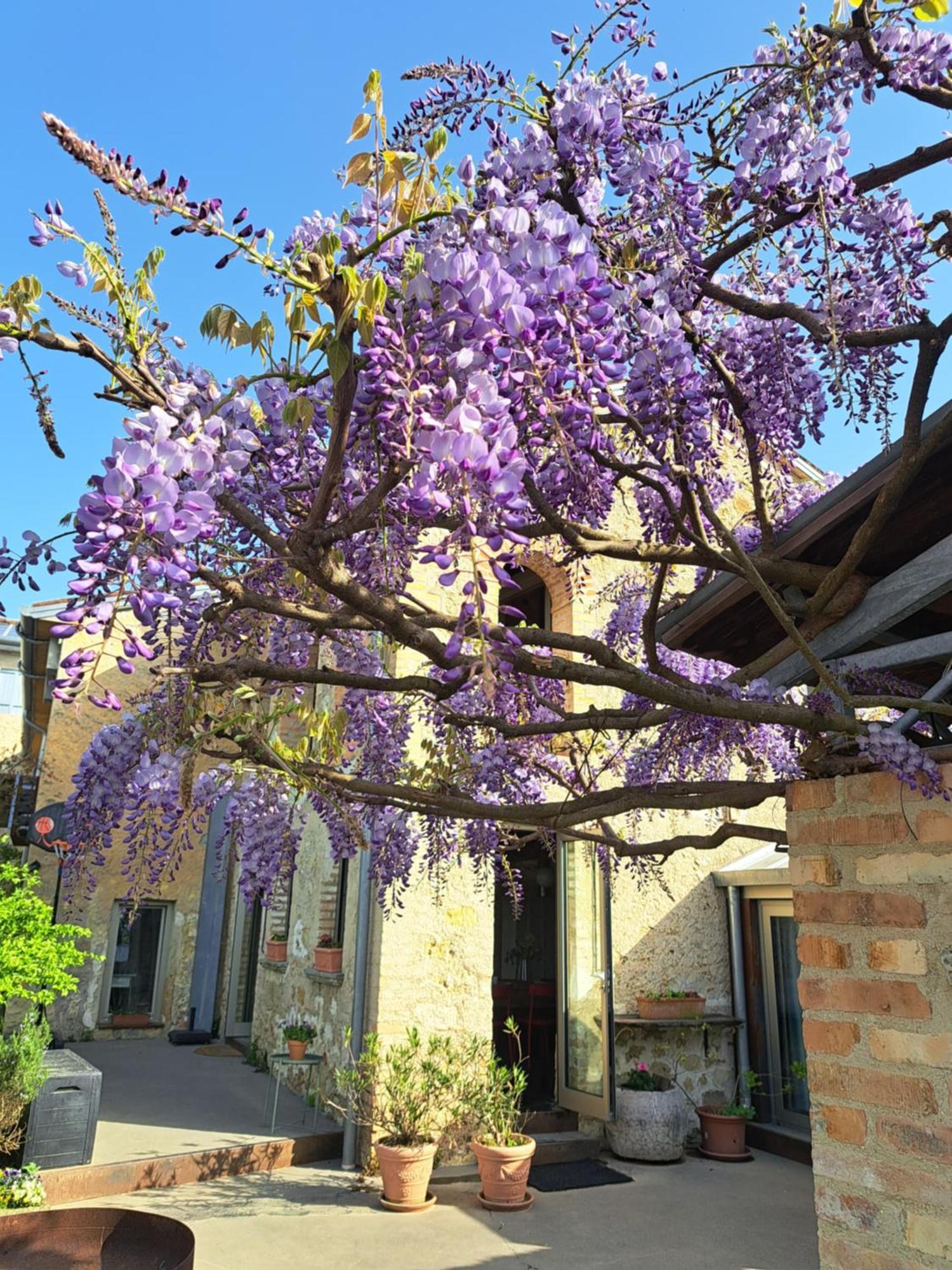 Casadesergio Refrontolo Exterior photo