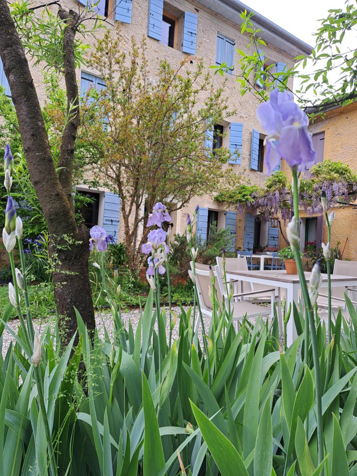 Casadesergio Refrontolo Exterior photo