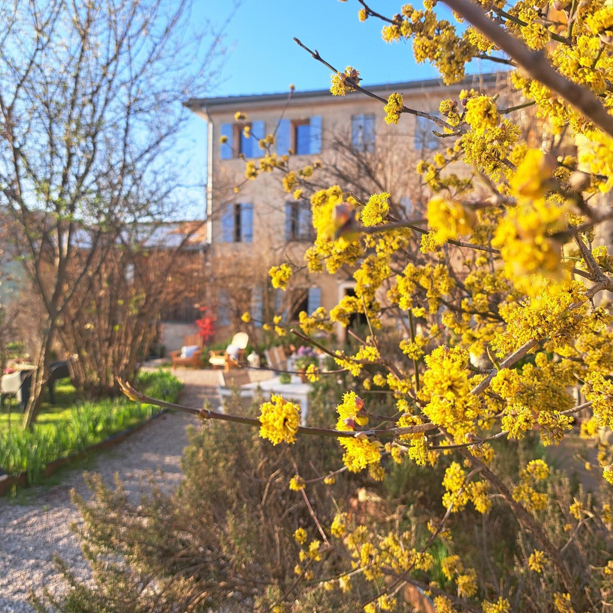 Casadesergio Refrontolo Exterior photo